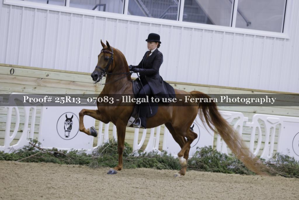 Proof 25R13_07083
