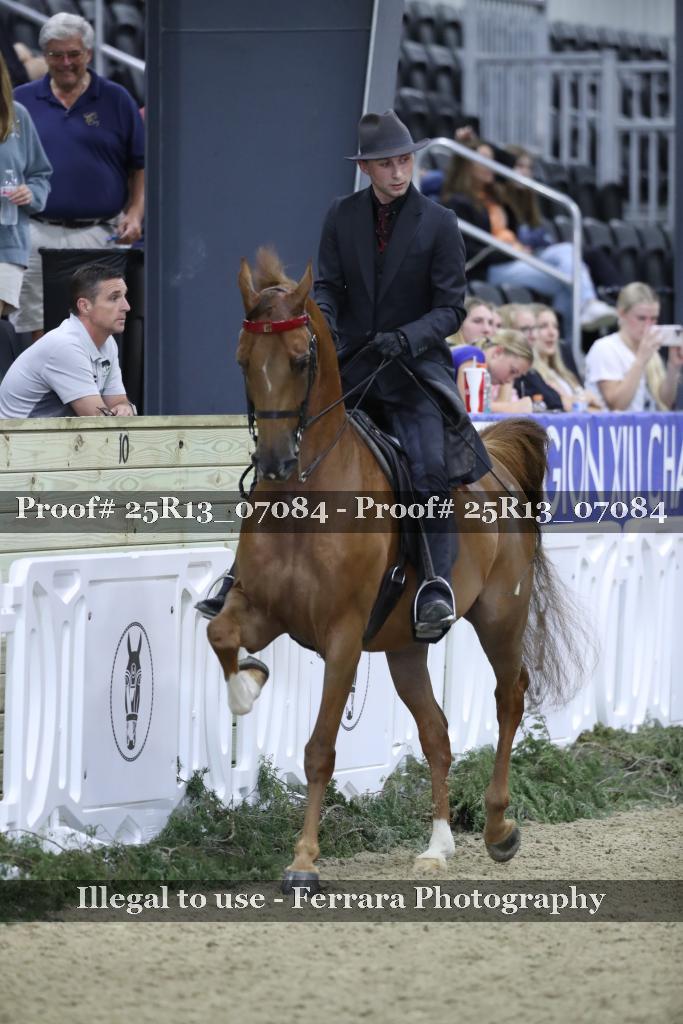 Proof 25R13_07084
