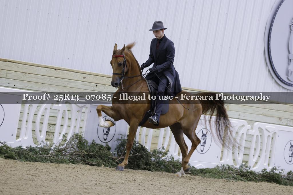 Proof 25R13_07085