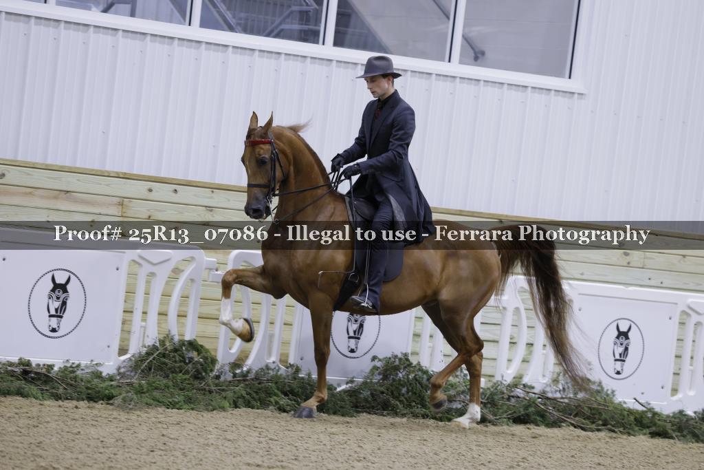 Proof 25R13_07086