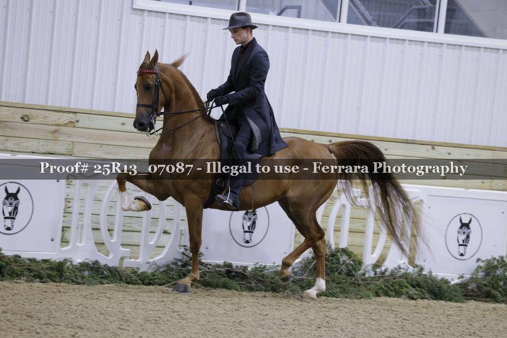 Proof 25R13_07087