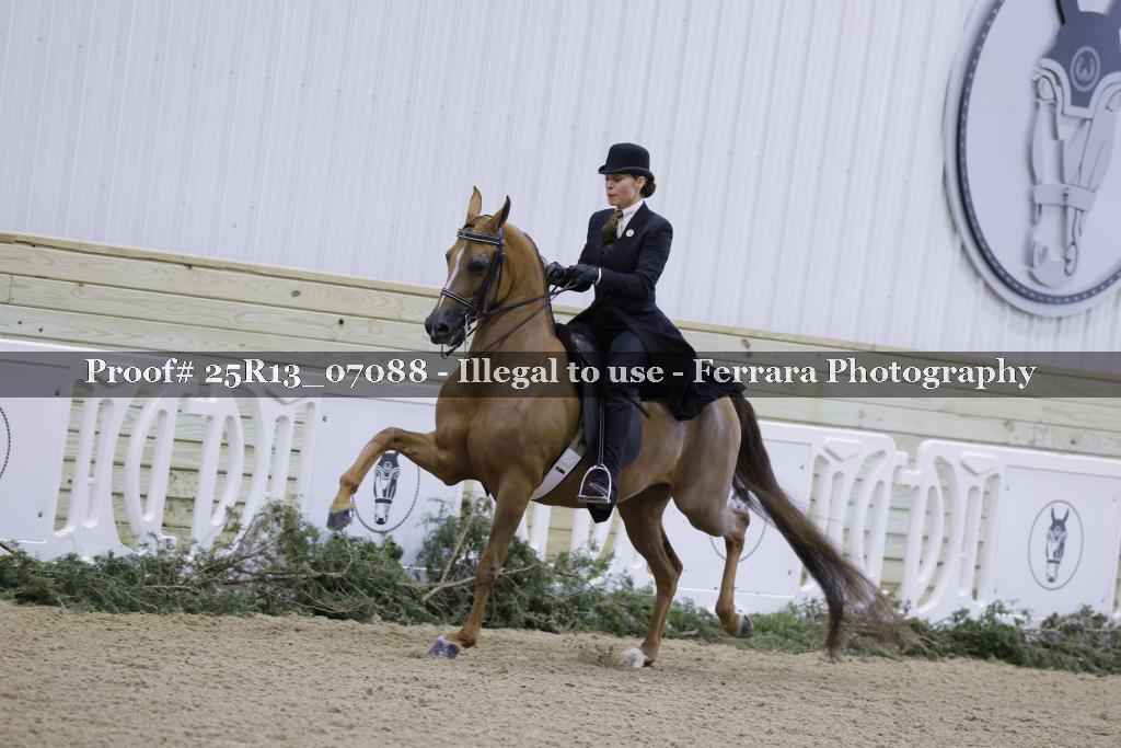 Proof 25R13_07088