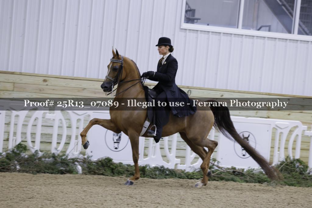 Proof 25R13_07089