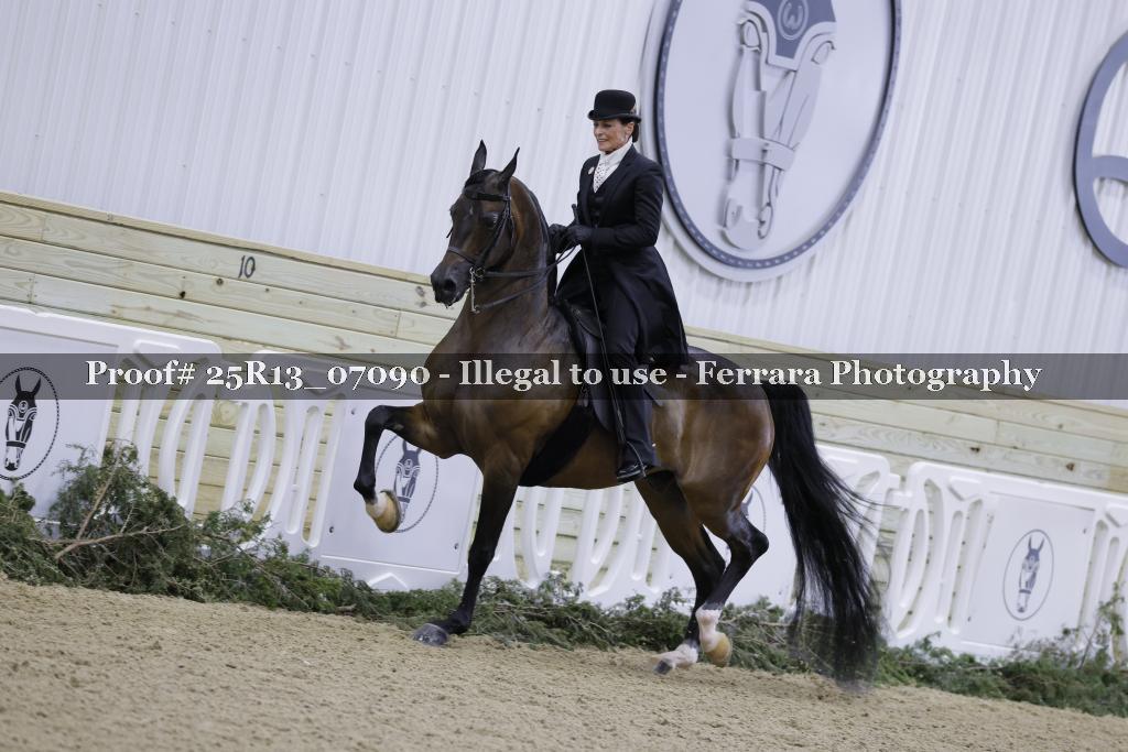 Proof 25R13_07090