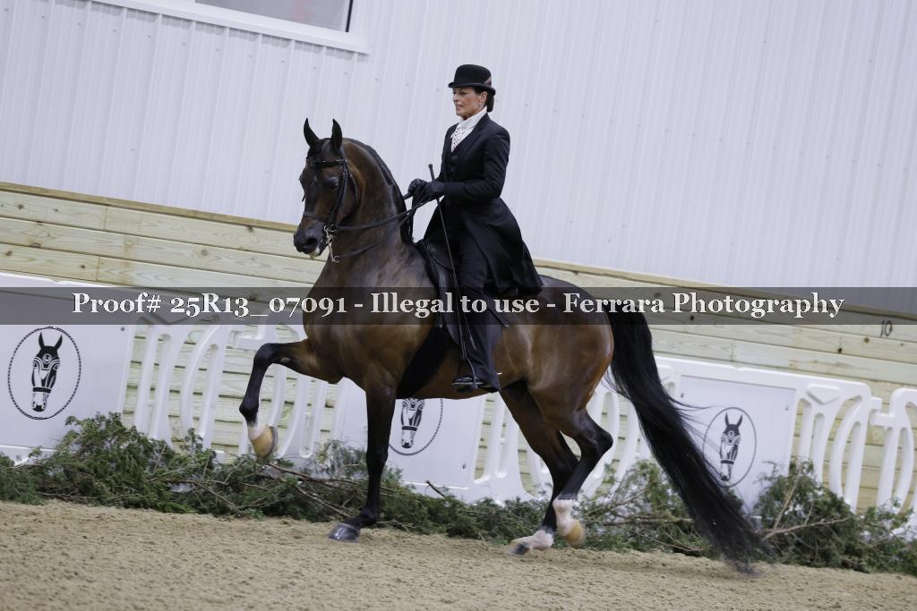 Proof 25R13_07091