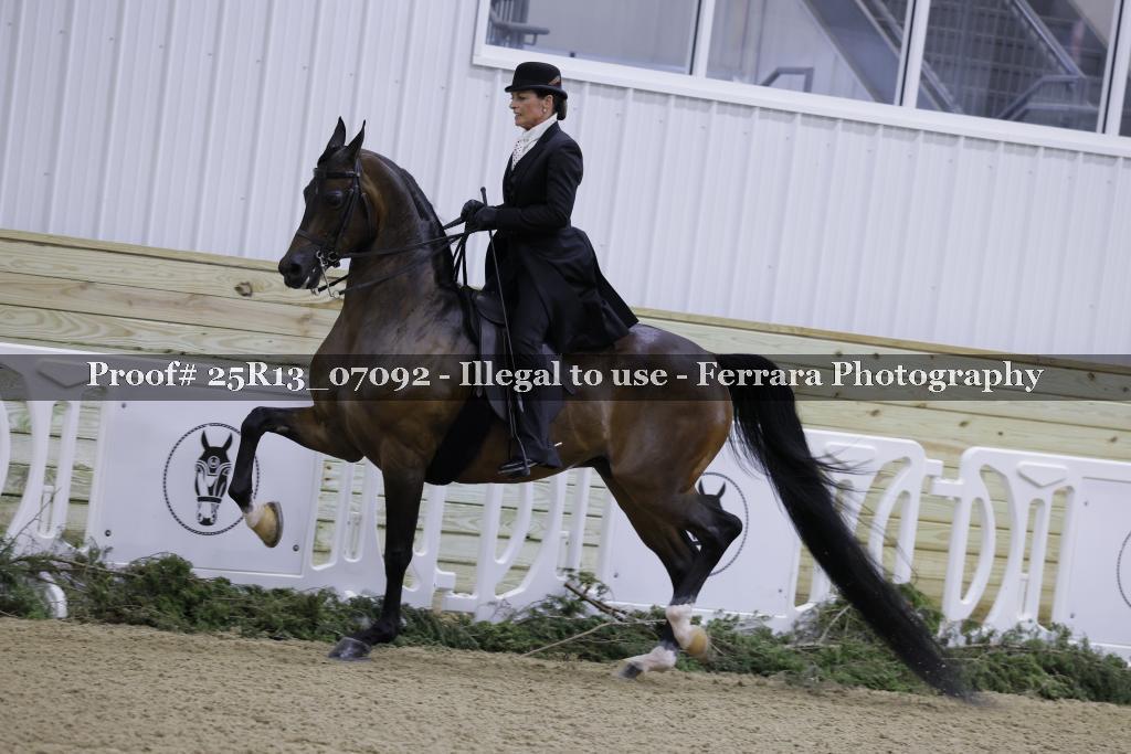 Proof 25R13_07092