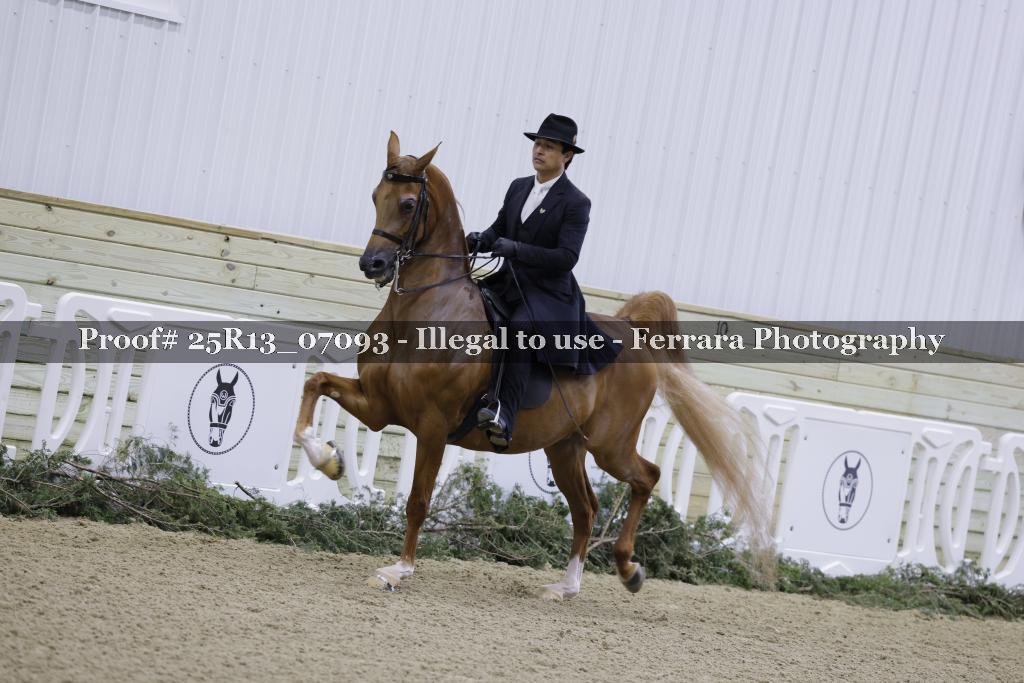 Proof 25R13_07093