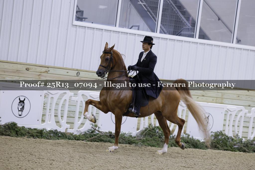 Proof 25R13_07094