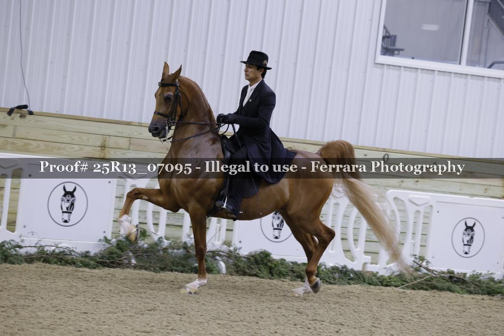 Proof 25R13_07095