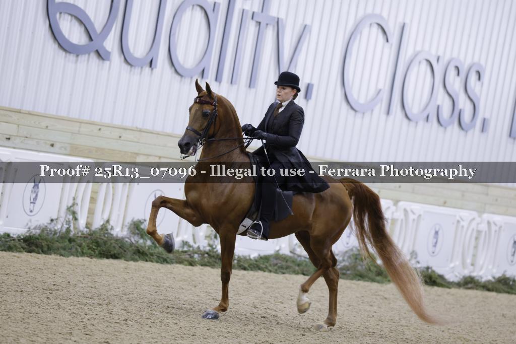 Proof 25R13_07096