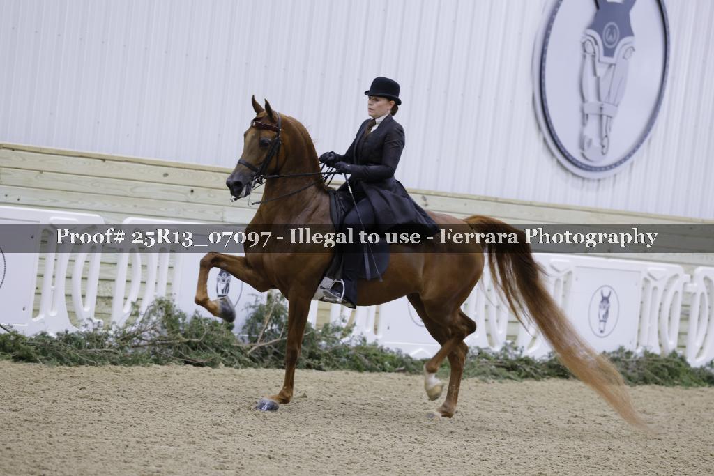 Proof 25R13_07097