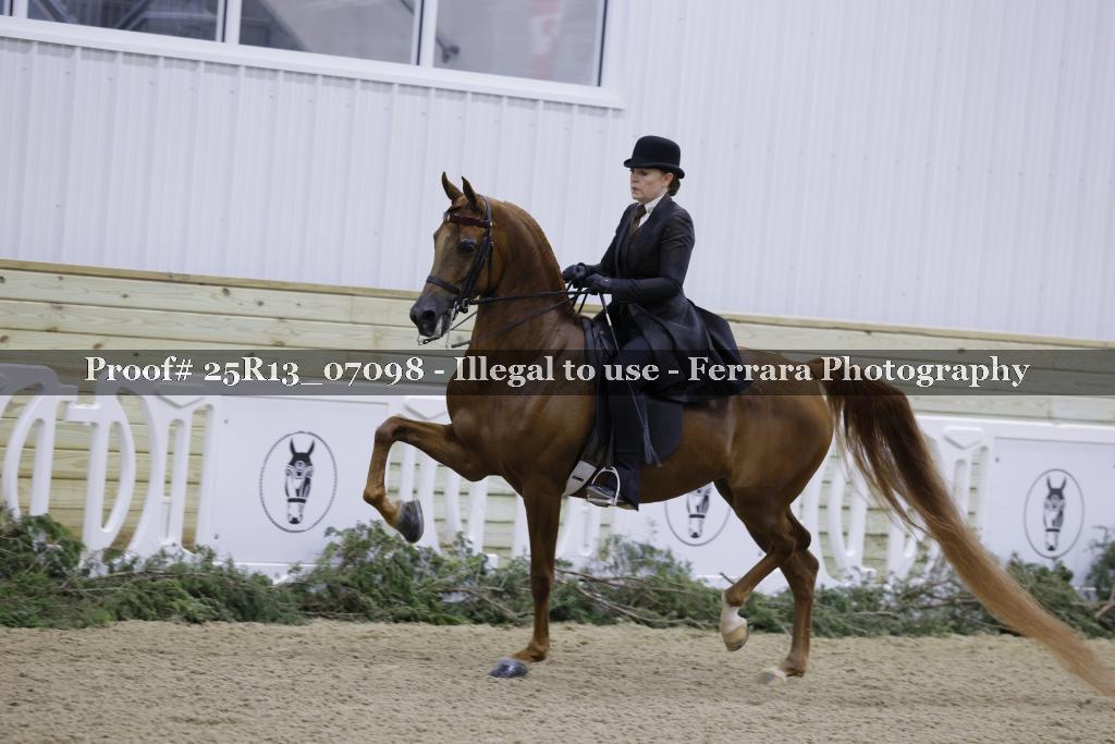 Proof 25R13_07098