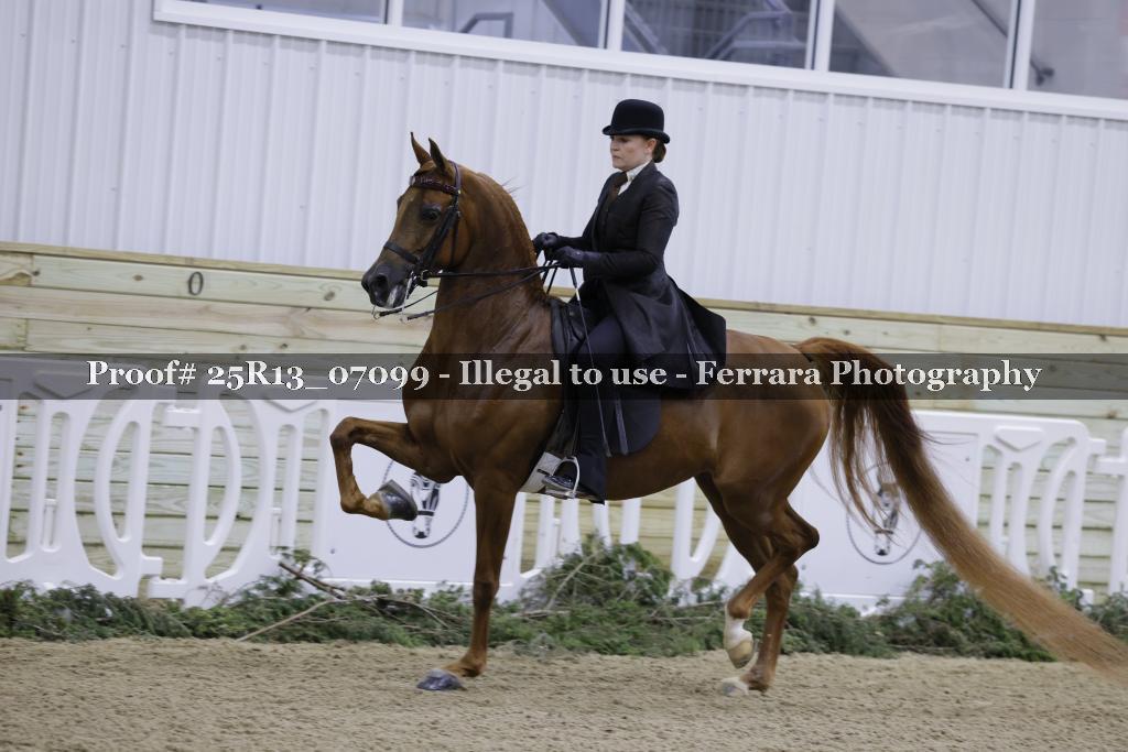 Proof 25R13_07099