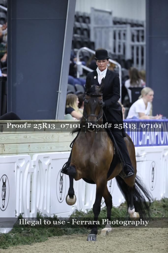 Proof 25R13_07101