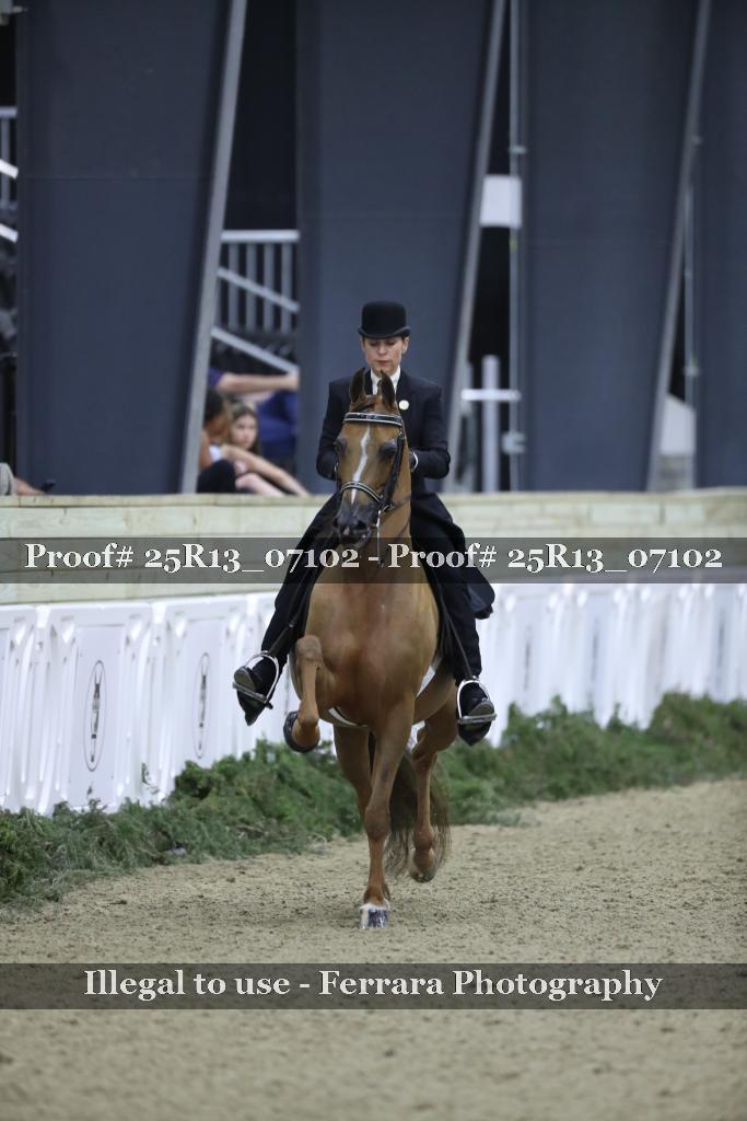 Proof 25R13_07102