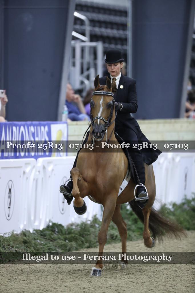 Proof 25R13_07103