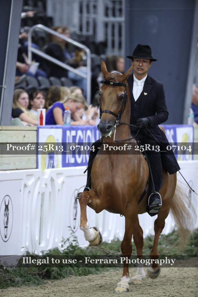 Proof 25R13_07104