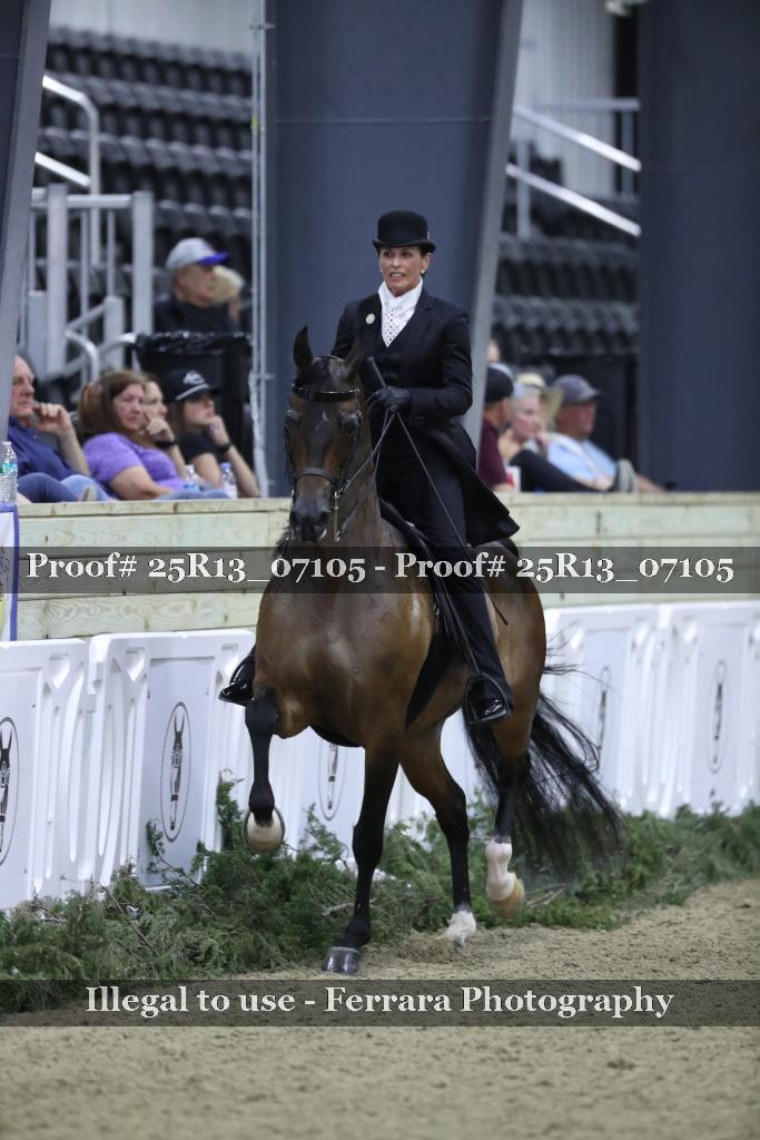 Proof 25R13_07105
