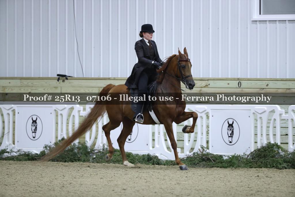 Proof 25R13_07106