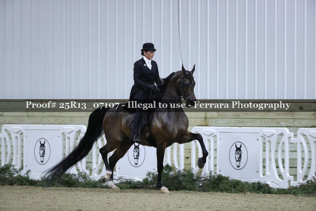 Proof 25R13_07107