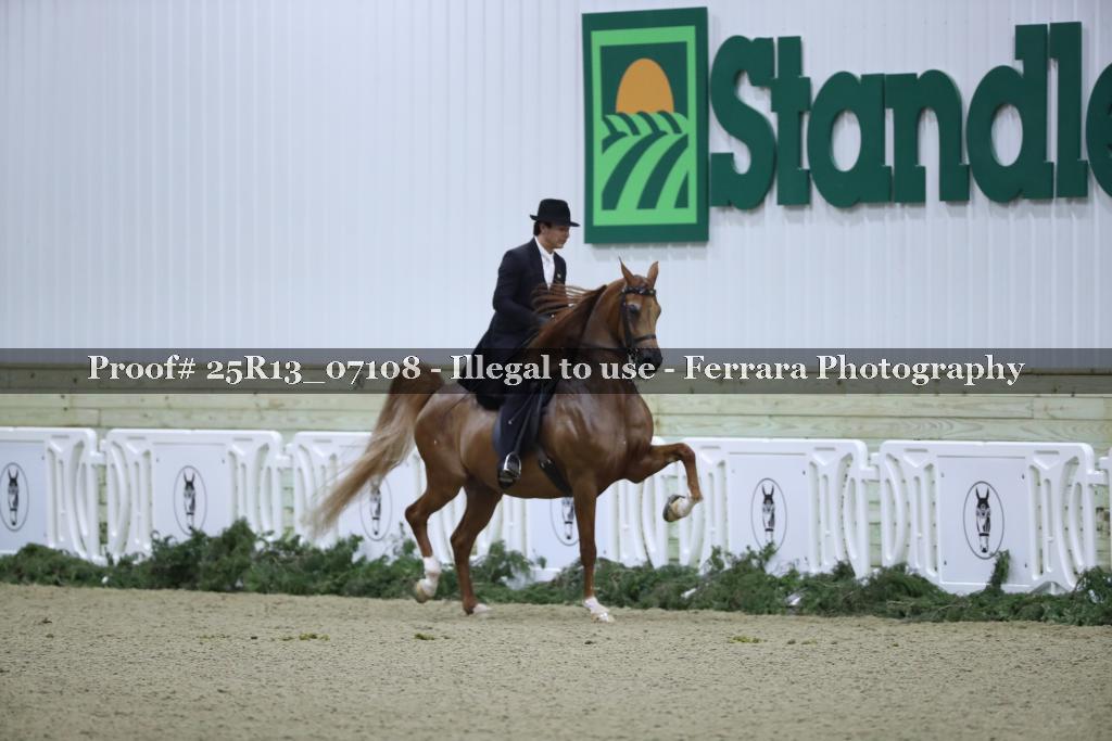 Proof 25R13_07108