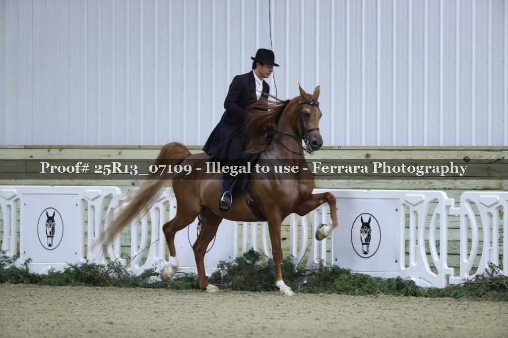 Proof 25R13_07109