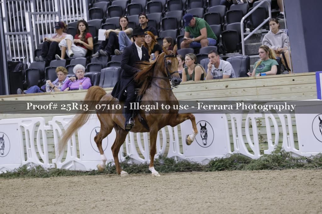 Proof 25R13_07110