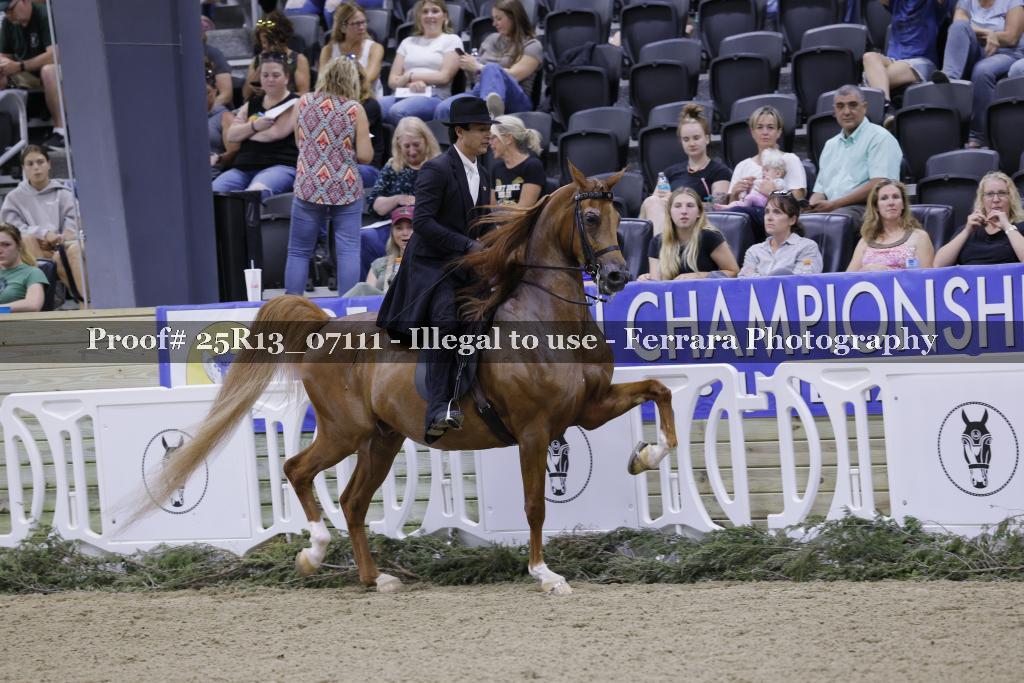 Proof 25R13_07111