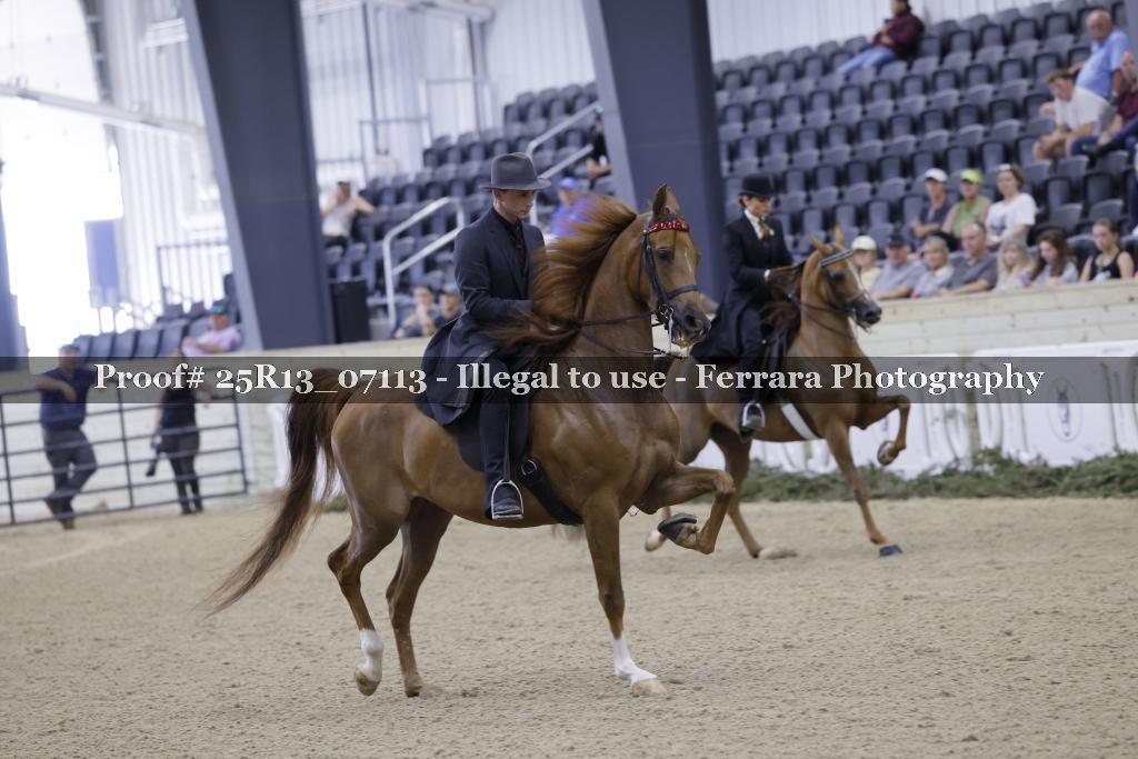 Proof 25R13_07113