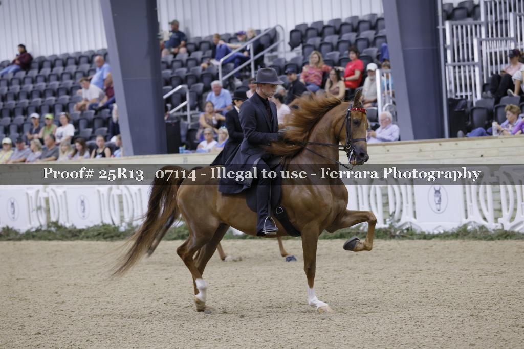 Proof 25R13_07114