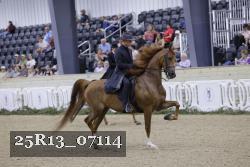 25R13_07114 proof