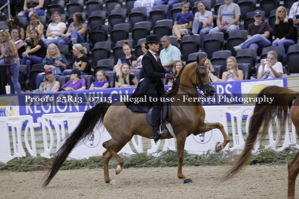 Proof 25R13_07115