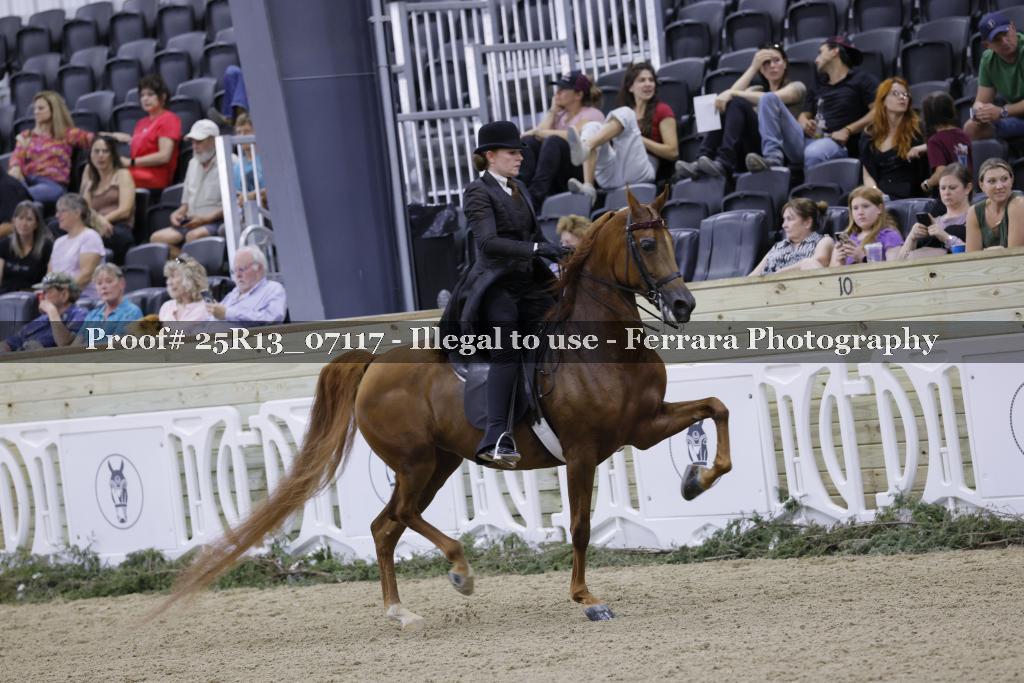 Proof 25R13_07117