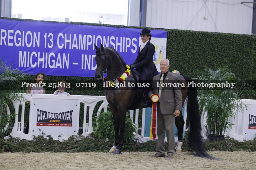 Proof 25R13_07119
