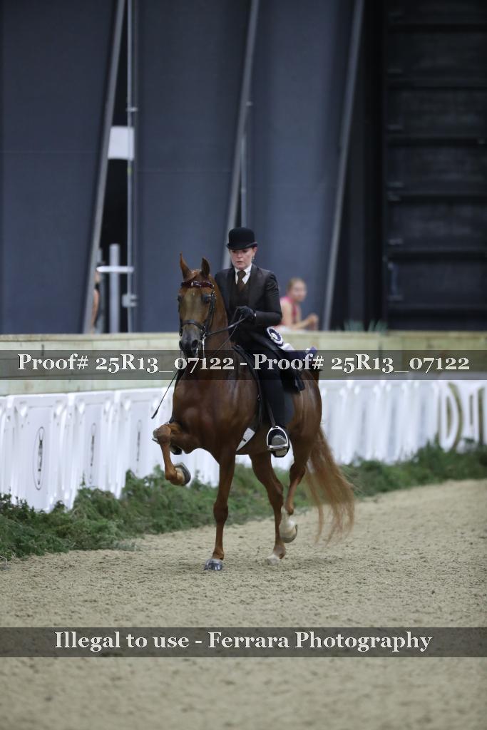Proof 25R13_07122