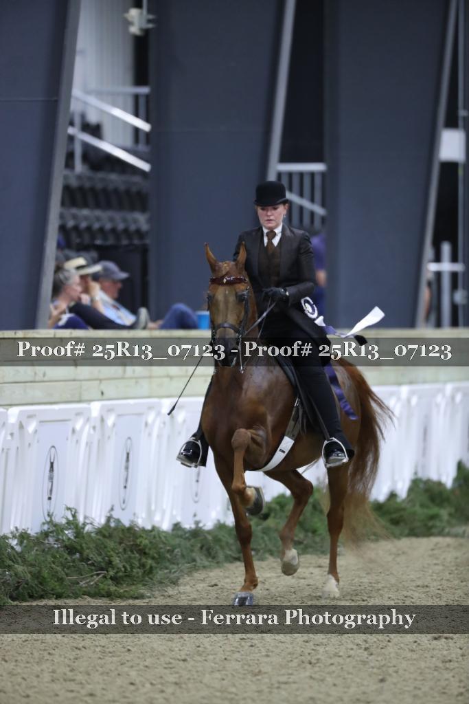 Proof 25R13_07123