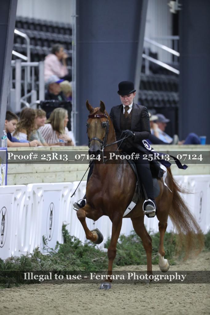 Proof 25R13_07124