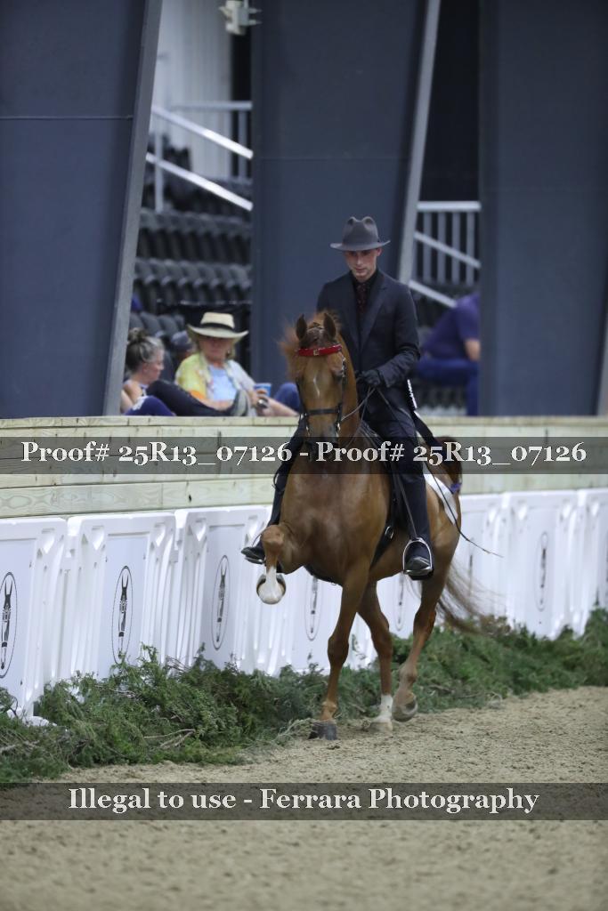 Proof 25R13_07126