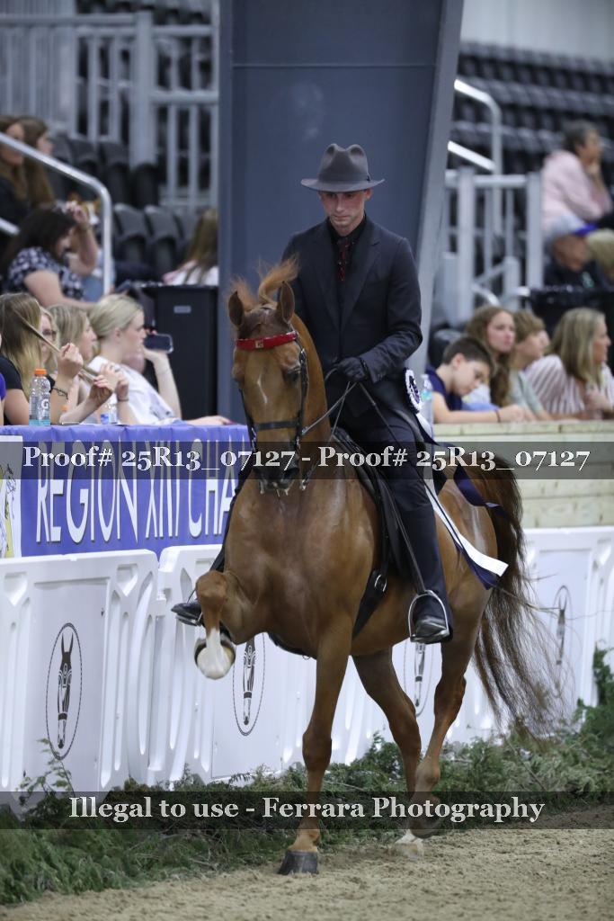 Proof 25R13_07127