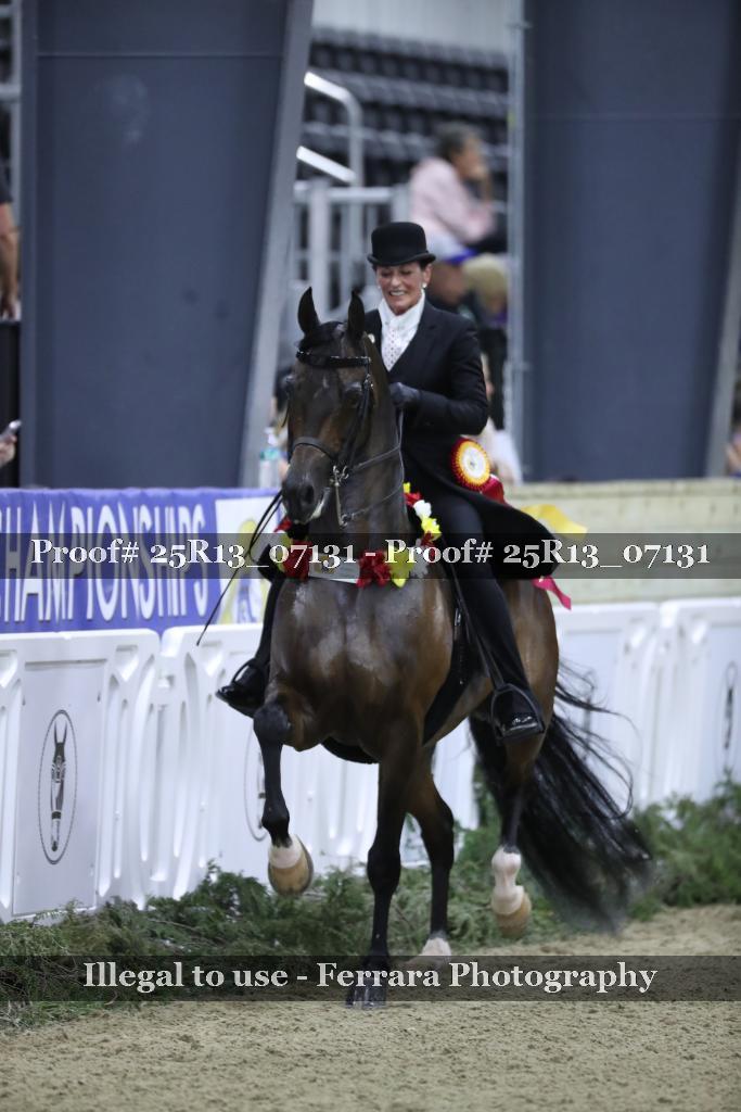 Proof 25R13_07131