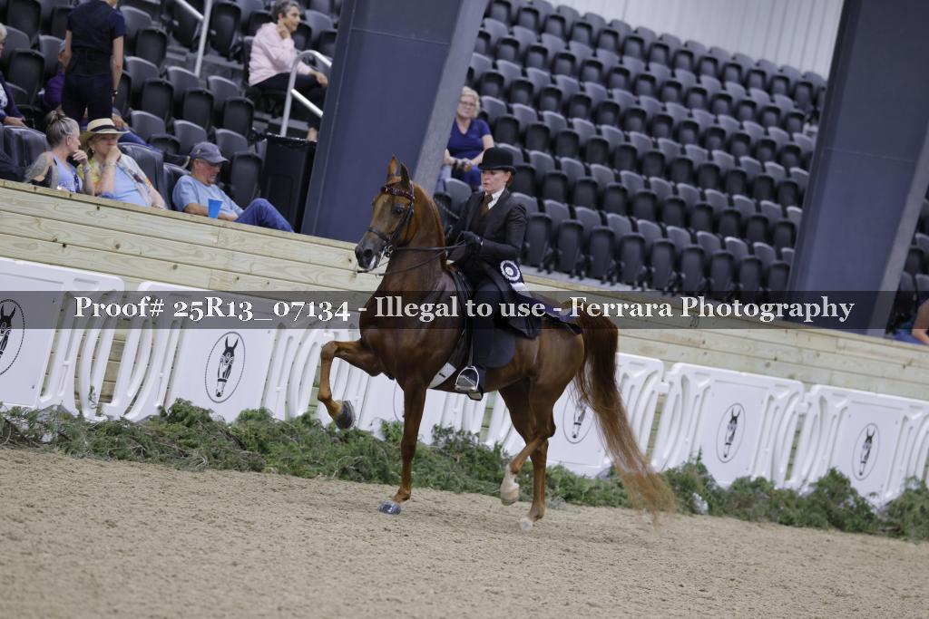 Proof 25R13_07134