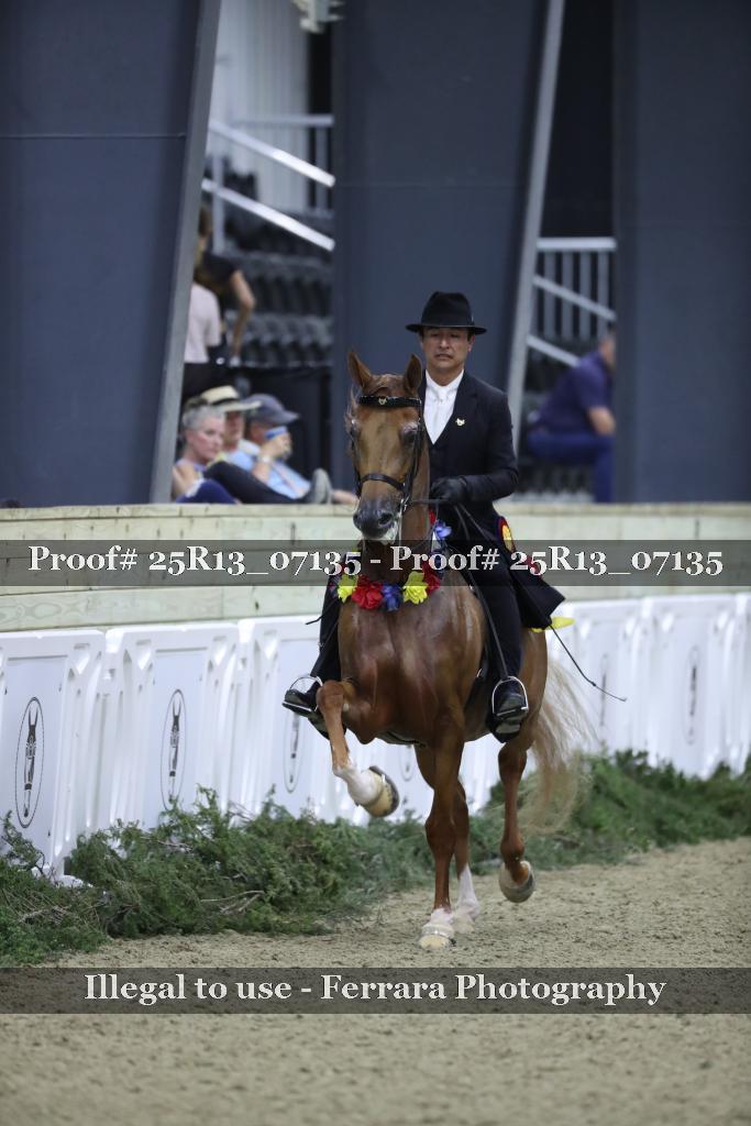 Proof 25R13_07135
