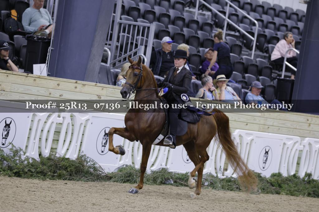 Proof 25R13_07136