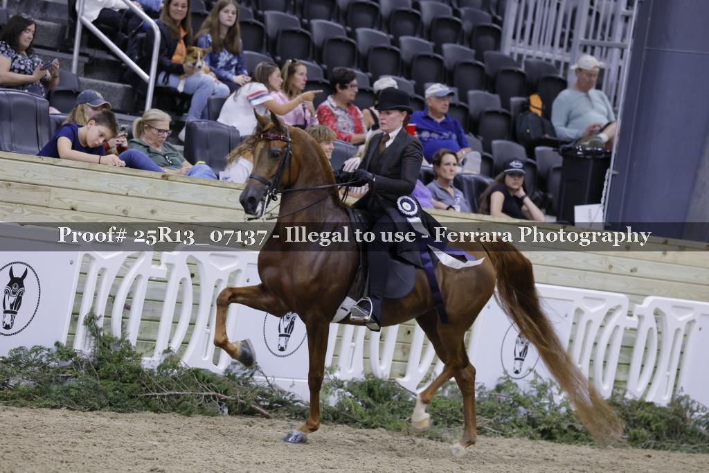 Proof 25R13_07137