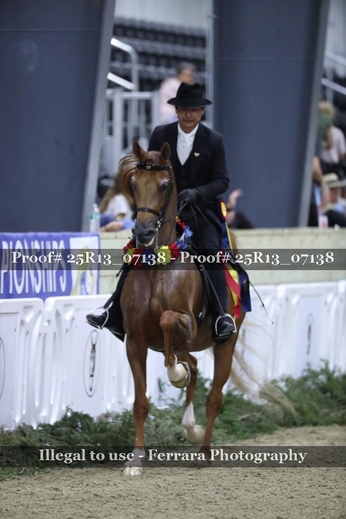 Proof 25R13_07138