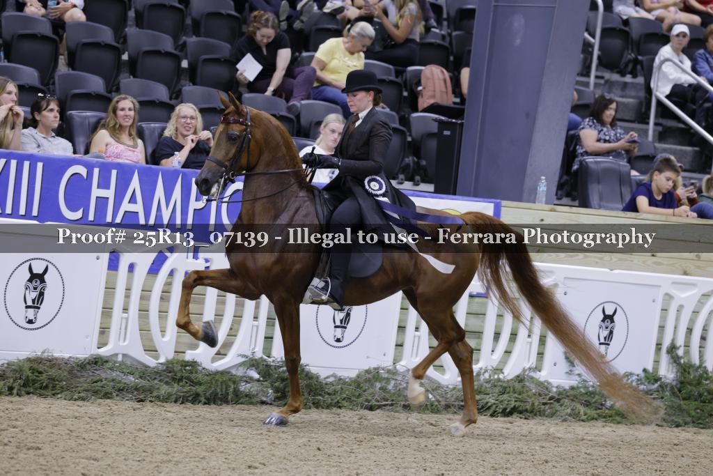 Proof 25R13_07139
