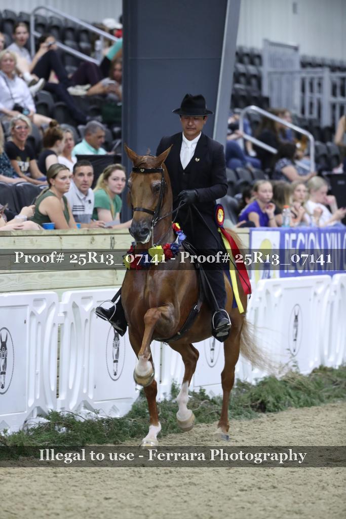 Proof 25R13_07141