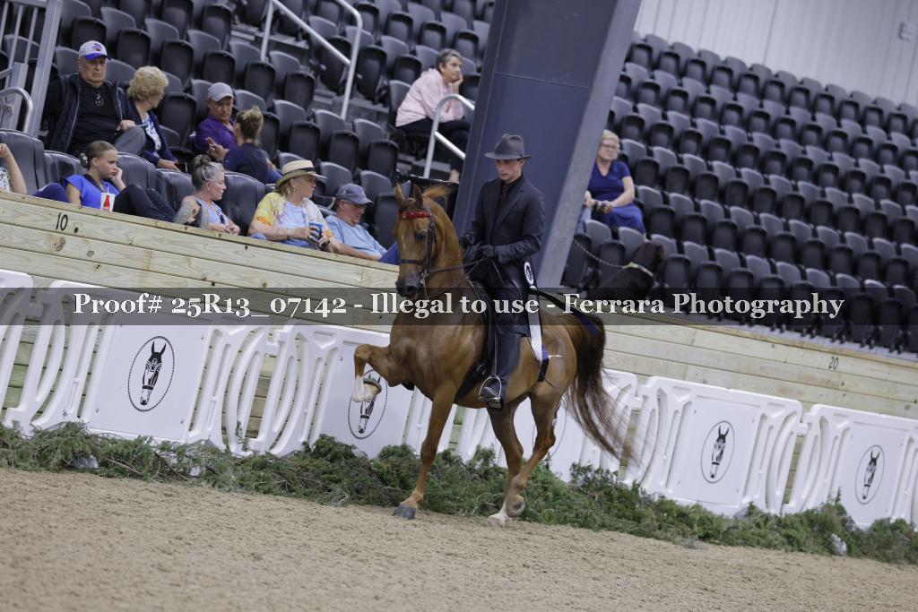 Proof 25R13_07142