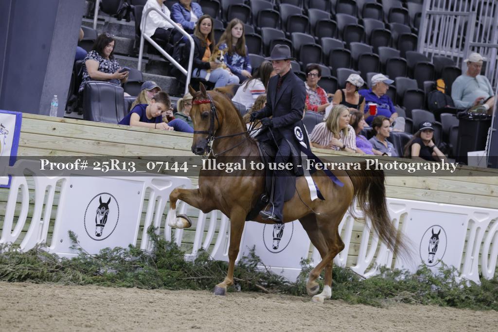 Proof 25R13_07144