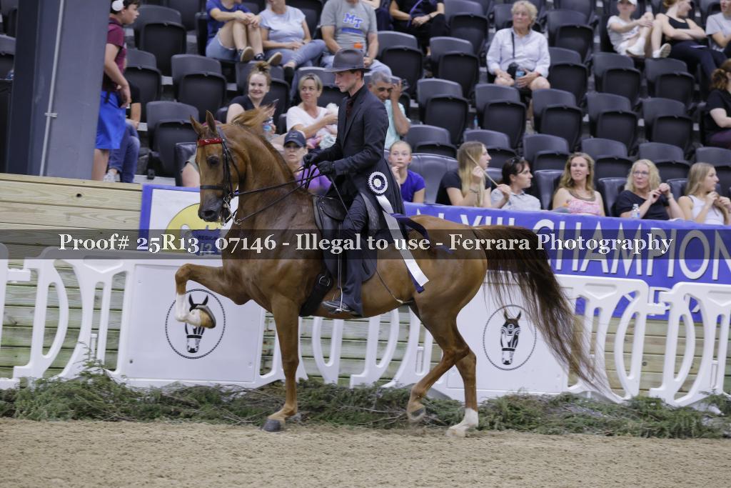Proof 25R13_07146